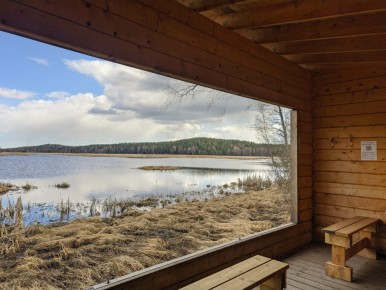 Ålsjöns naturreservat