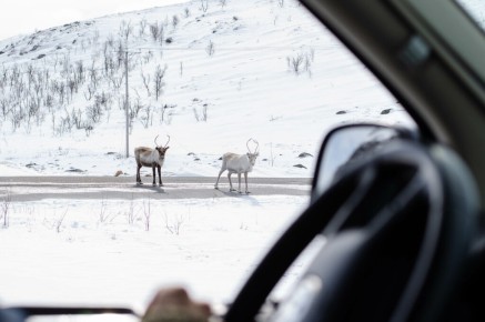 Rennes à la frontière finlandaise