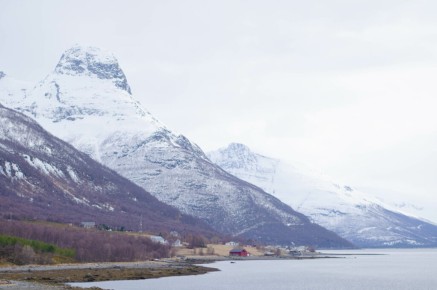 Lyngen fjord