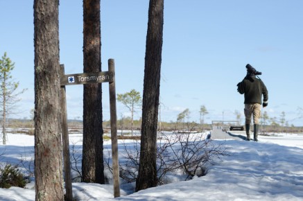 Torsmyran naturreservat
