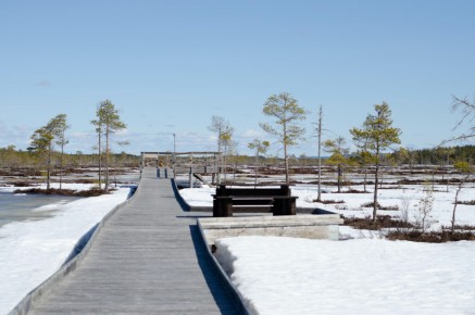 Torsmyran naturreservat