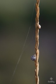 Deux copains non identifiés