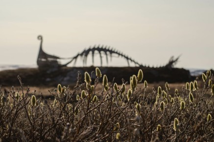 Drakkar Leviathan sur Vardø