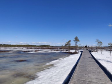 Torsmyran naturreservat